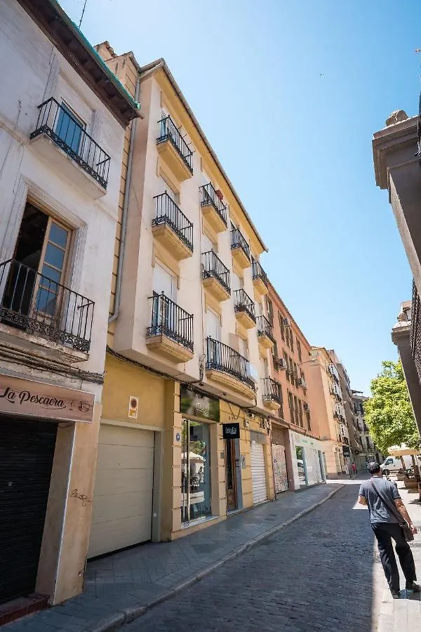Ibericabeds Nueva De San Anton Apartment Granada 0*,